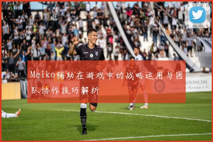 Meiko辅助在游戏中的战略运用与团队协作技巧解析
