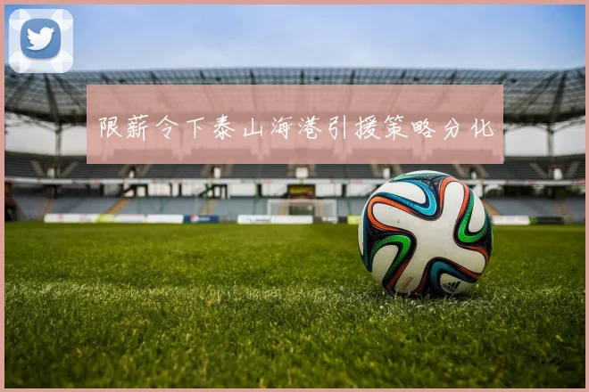 限薪令下泰山海港引援策略分化