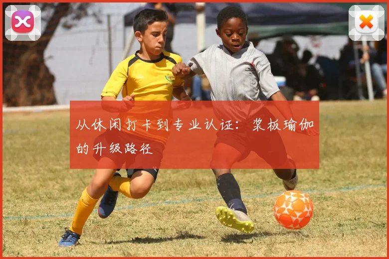 从休闲打卡到专业认证：桨板瑜伽的升级路径