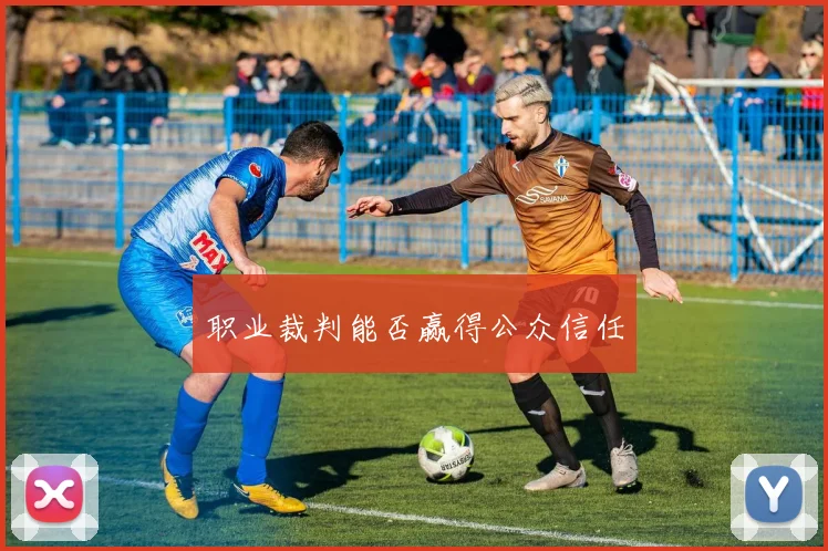 职业裁判能否赢得公众信任