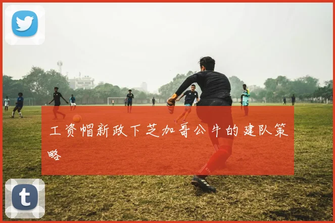 工资帽新政下芝加哥公牛的建队策略